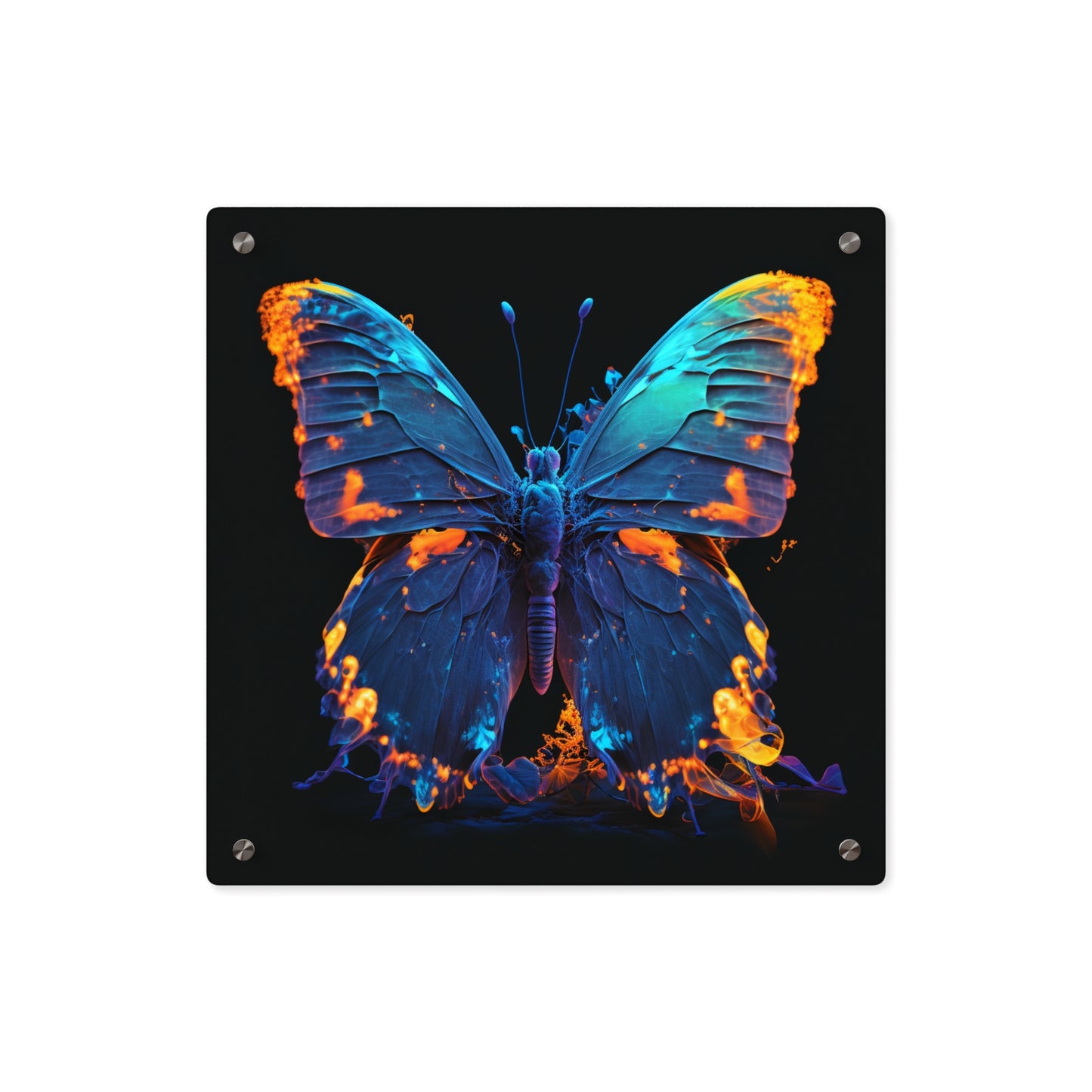 Acrylic Wall Art Panels Thermal Butterfly 3