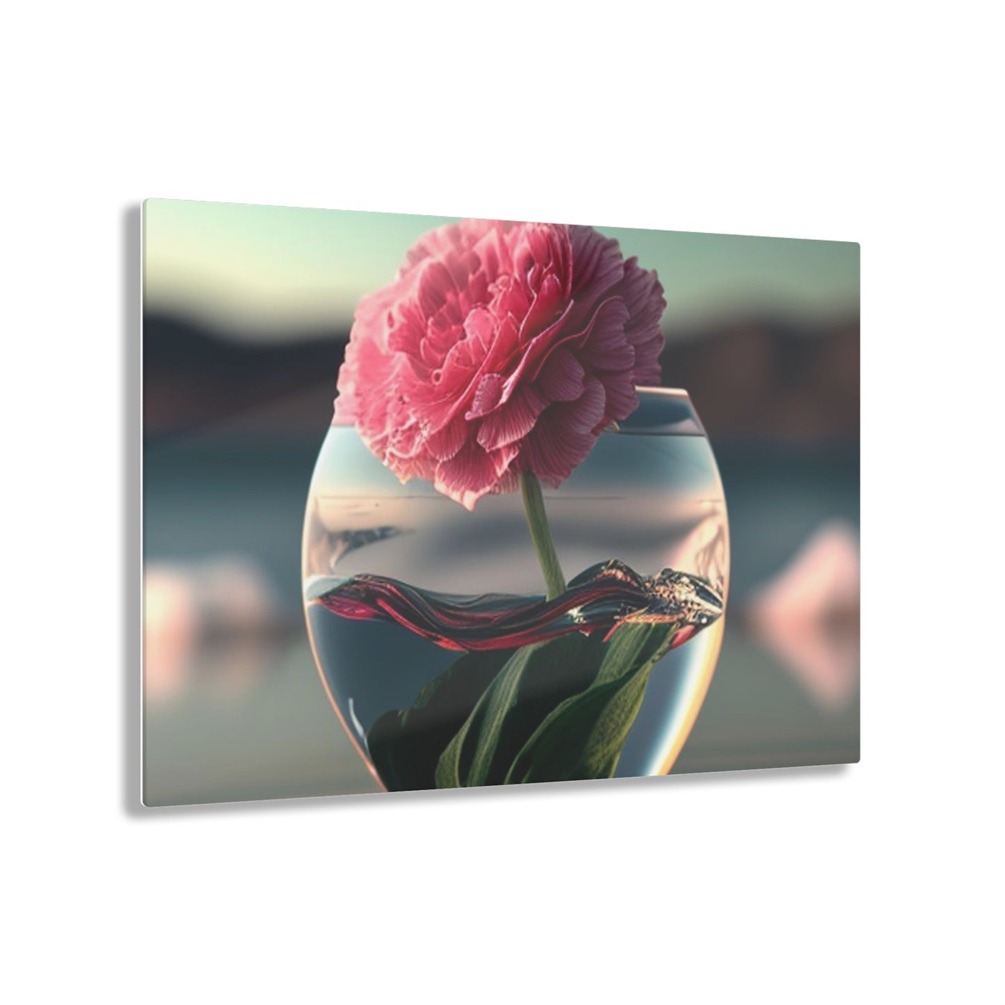 Acrylic Prints Carnation 2