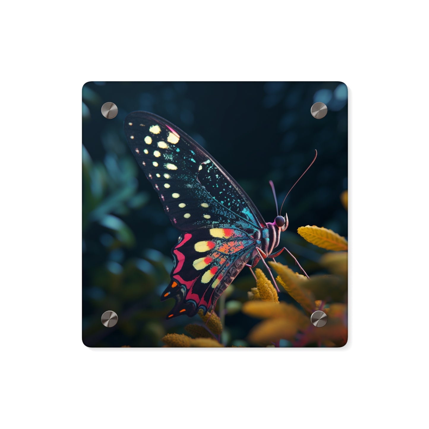 Acrylic Wall Art Panels Hyper Colorful Butterfly Macro 2