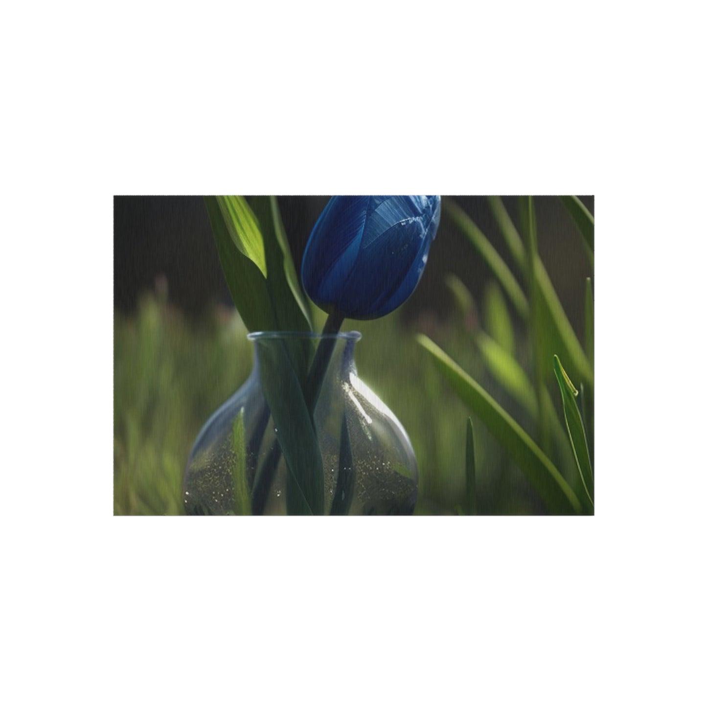 Outdoor Rug  Tulip 1