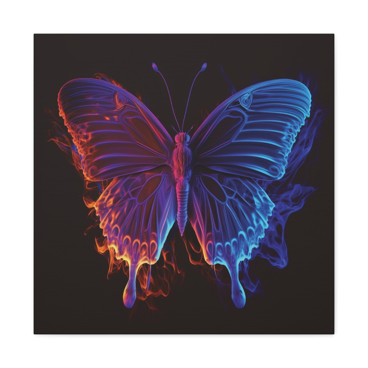 Canvas Gallery Wraps Thermal Butterfly 1