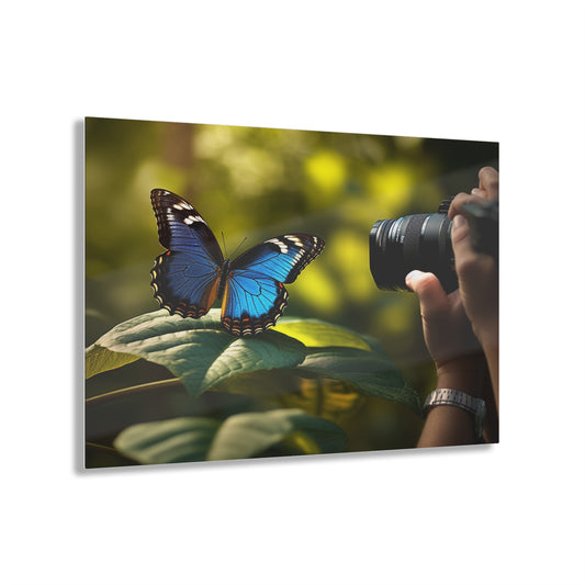 Acrylic Prints Jungle Butterfly 3
