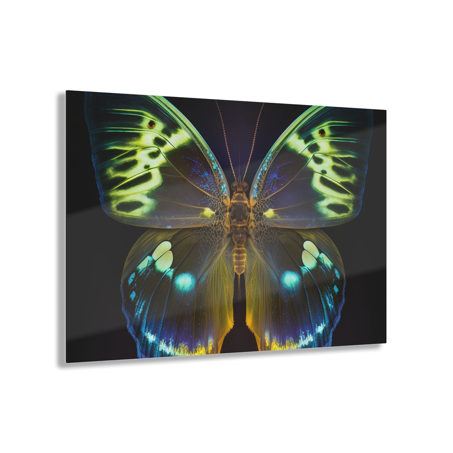 Acrylic Prints Neon Hue Butterfly 1