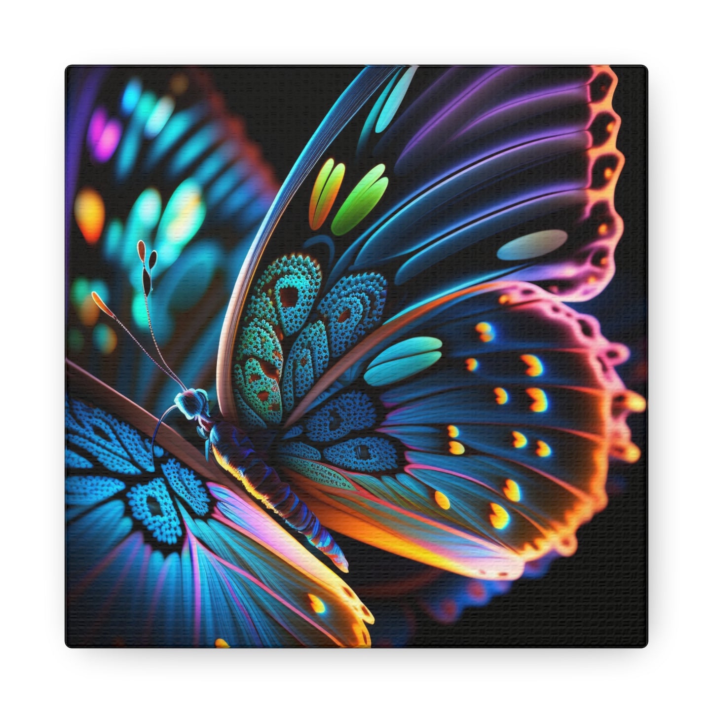 Canvas Gallery Wraps Neon Butterfly Macro 2