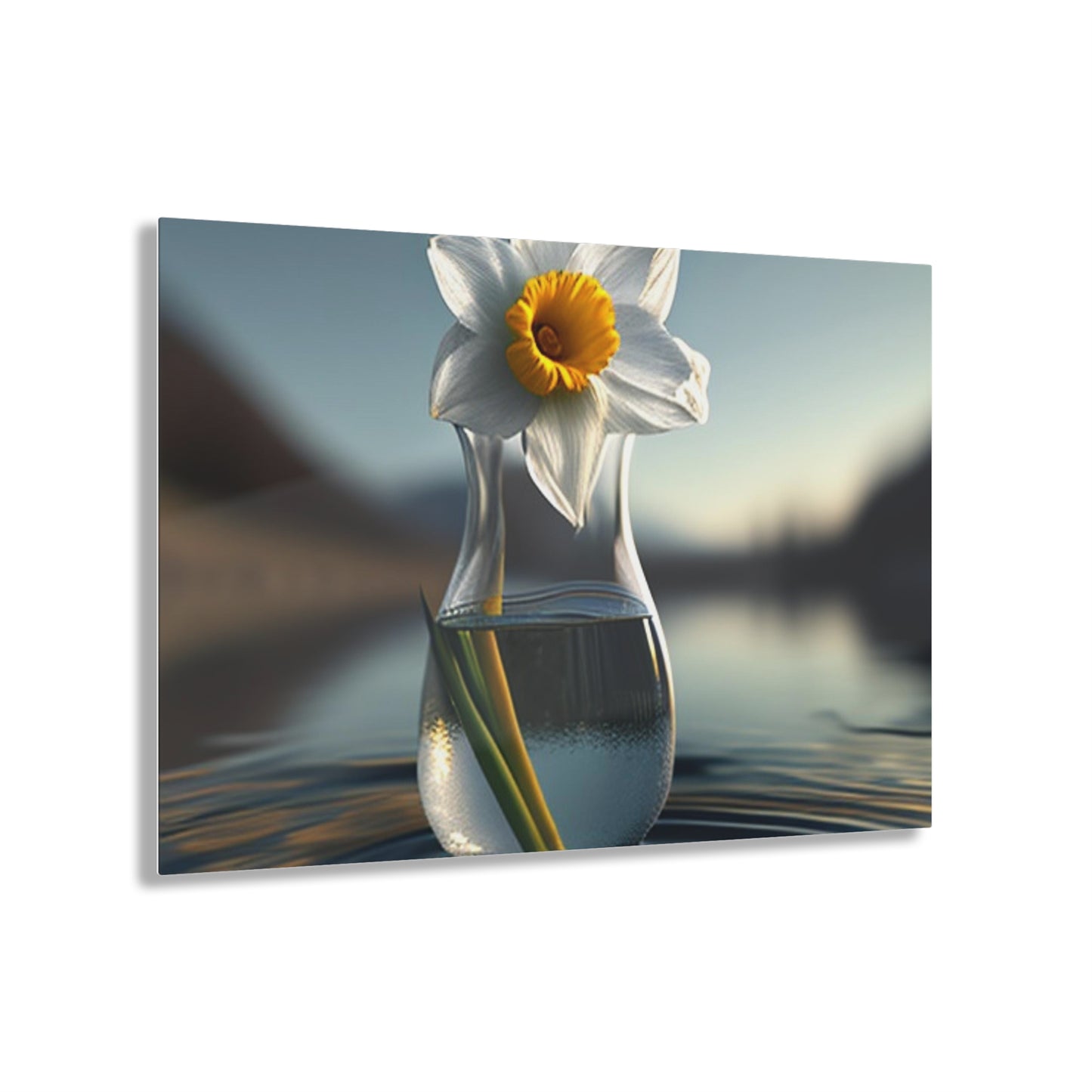 Acrylic Prints Daffodil 3