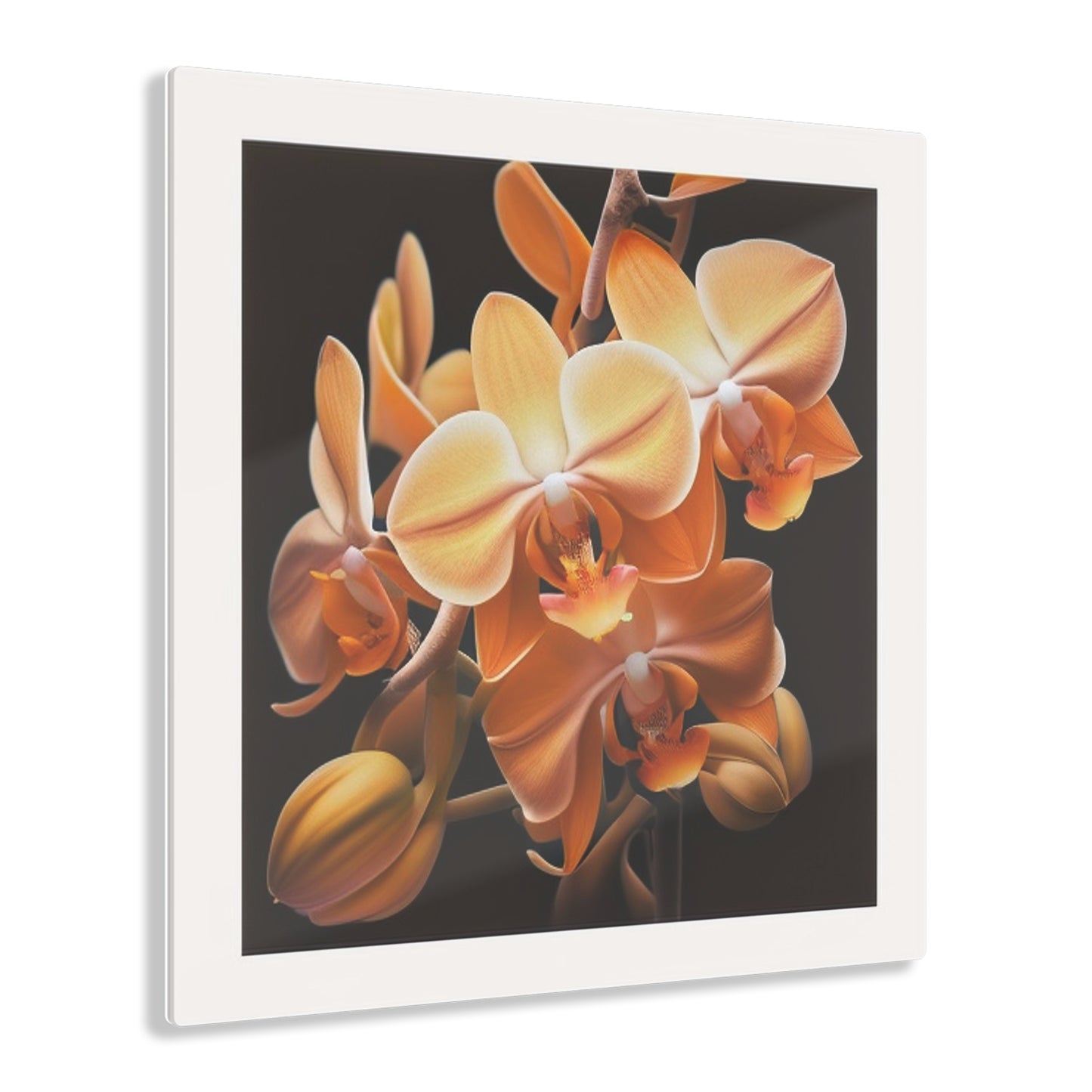 Acrylic Prints orchid pedals 1