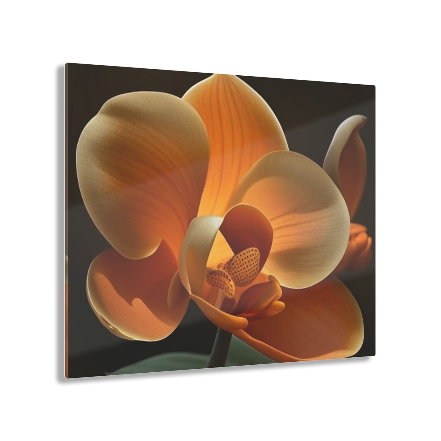 Acrylic Prints Orange Orchid 4