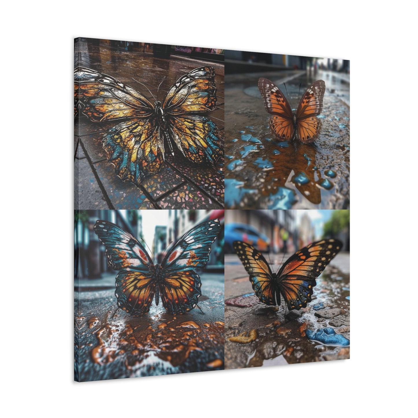 Canvas Gallery Wraps Water Butterfly Street 5