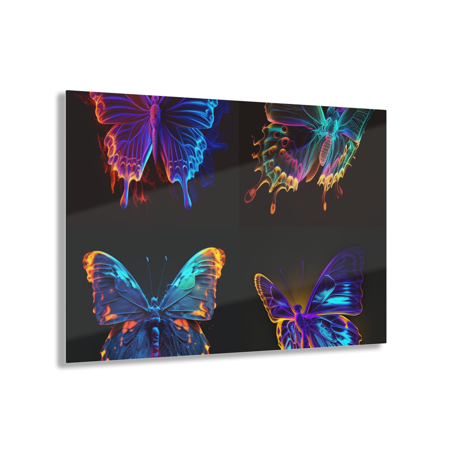 Acrylic Prints Thermal Butterfly 5