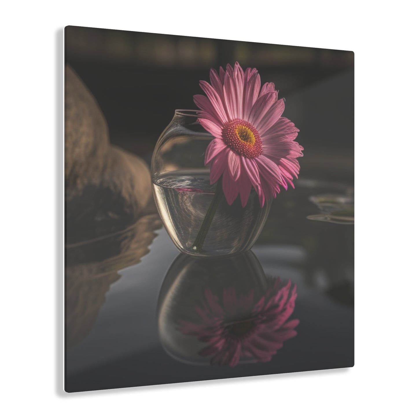 Acrylic Prints Pink Daisy 2