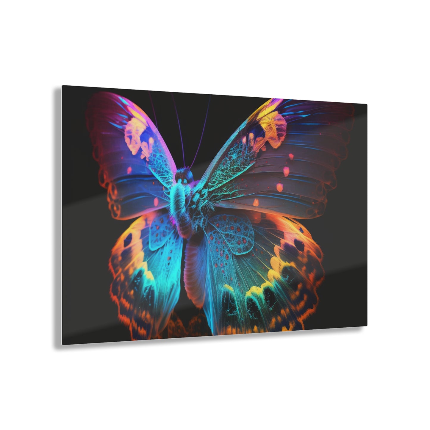 Acrylic Prints Raw Hyper Color Butterfly 4