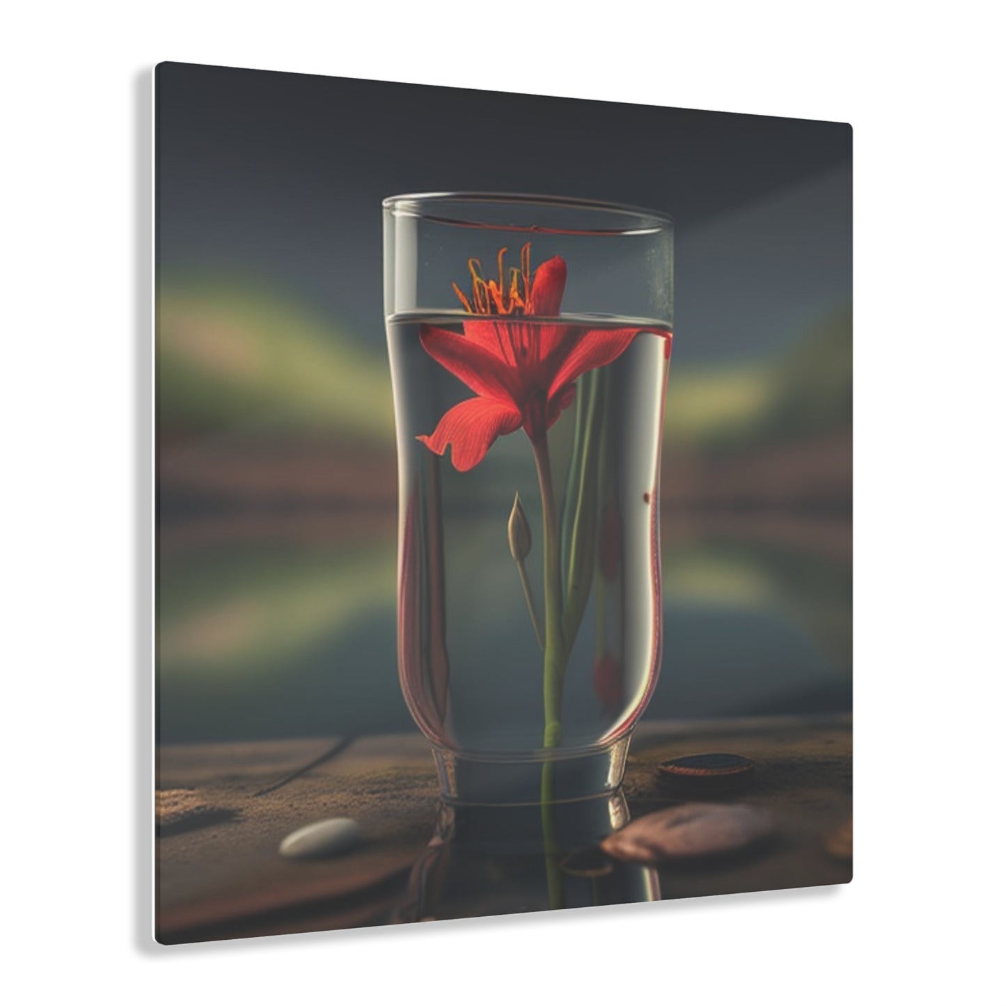 Acrylic Prints Red Lily in a Glass vase 1