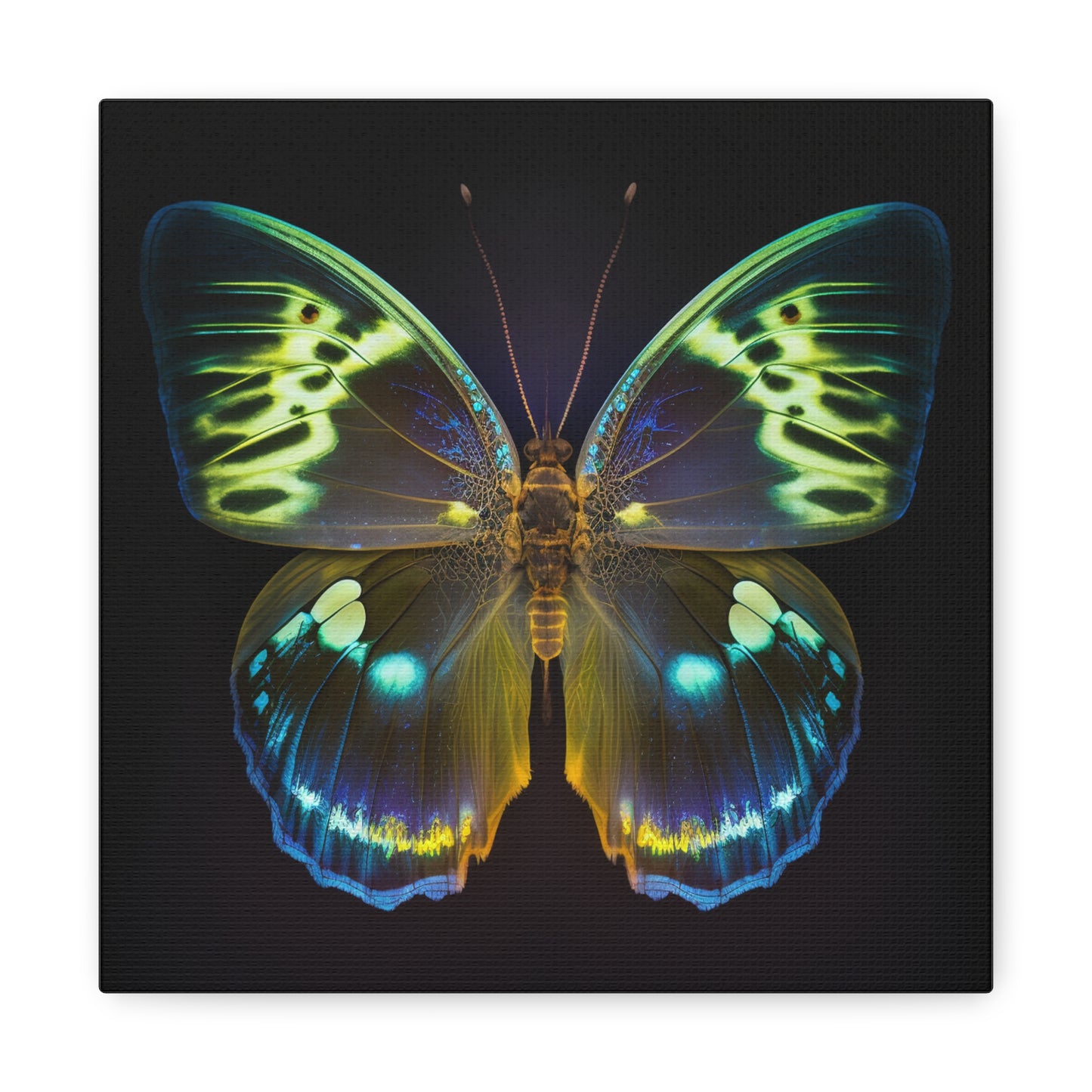 Canvas Gallery Wraps Neon Hue Butterfly 1