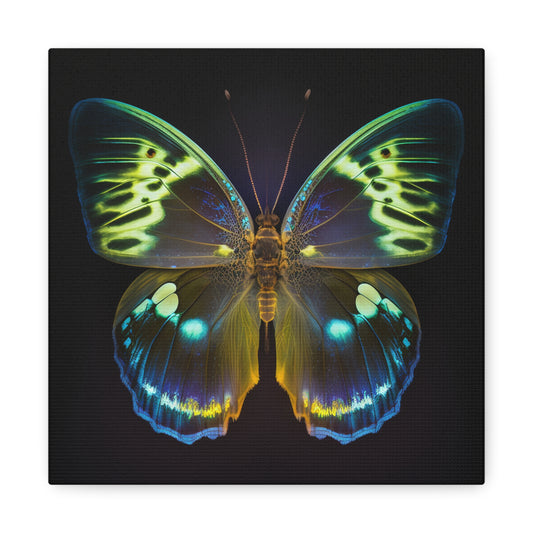 Canvas Gallery Wraps Neon Hue Butterfly 1