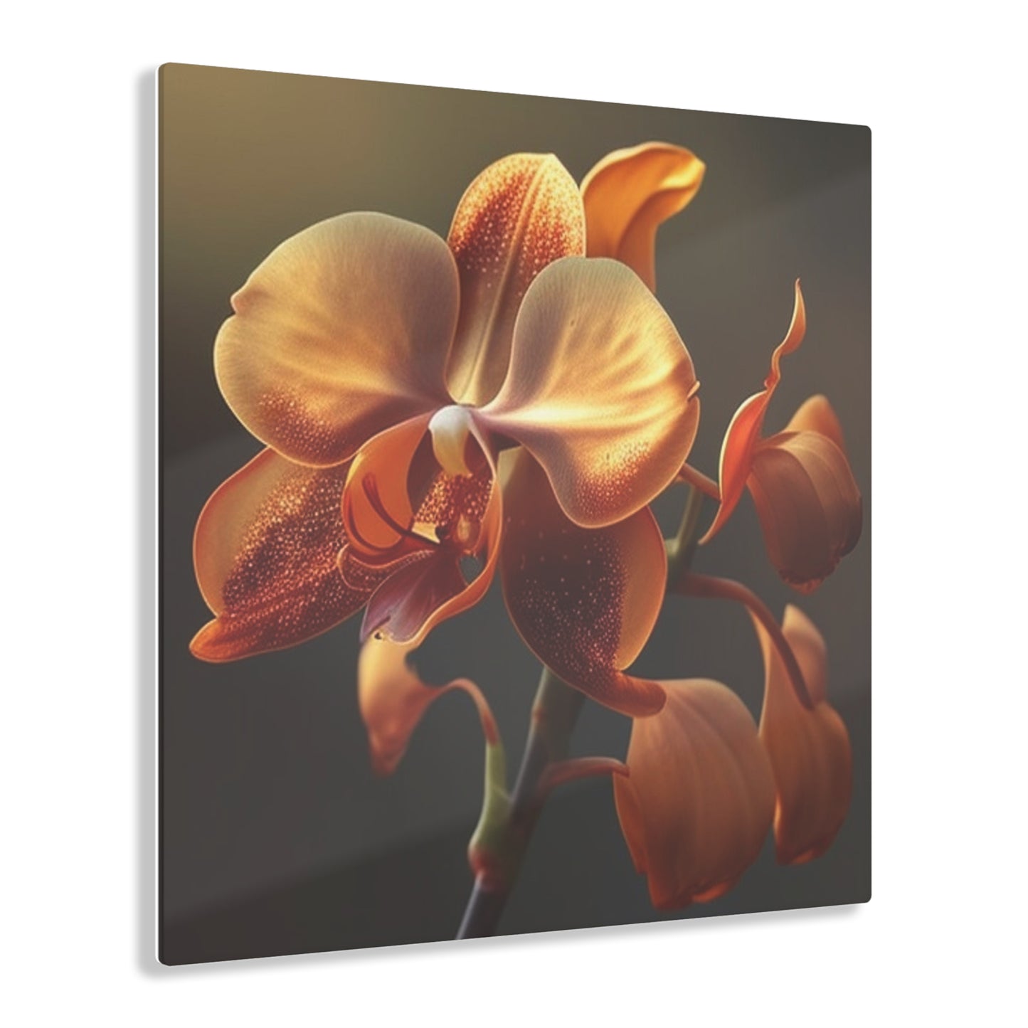 Acrylic Prints Orange Orchid 1