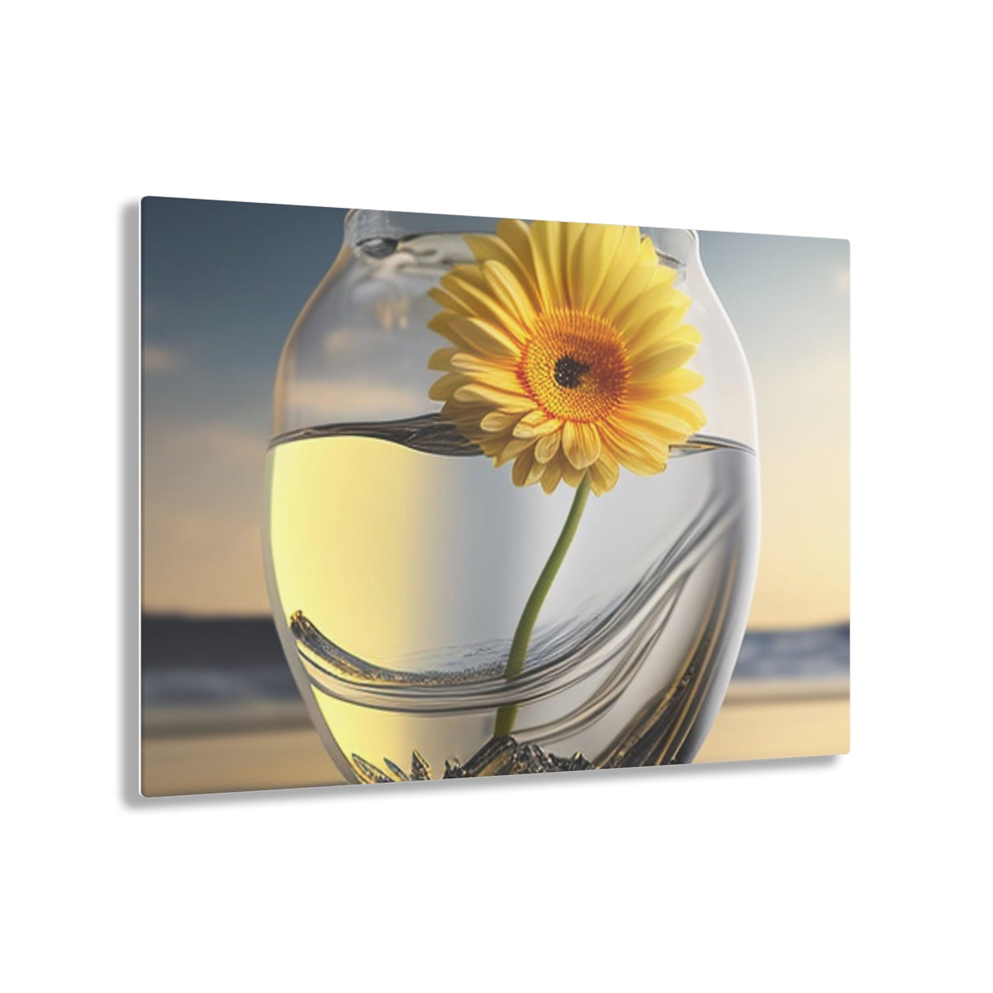 Acrylic Prints yello Gerbera glass 1