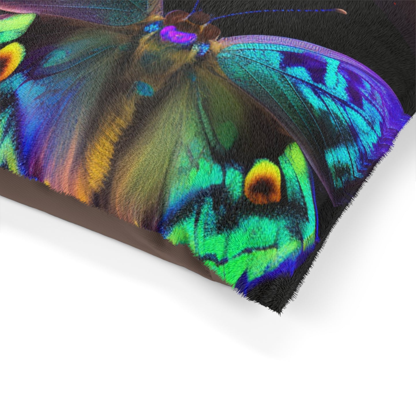 Pet Bed Neon Hue Butterfly 5