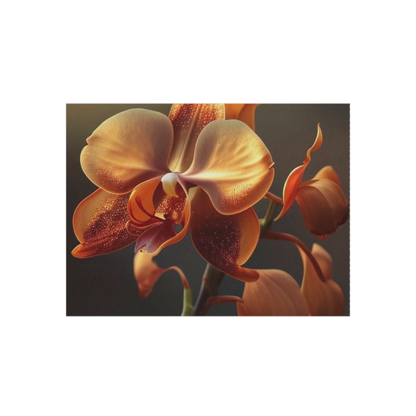 Outdoor Rug  Orange Orchid 1