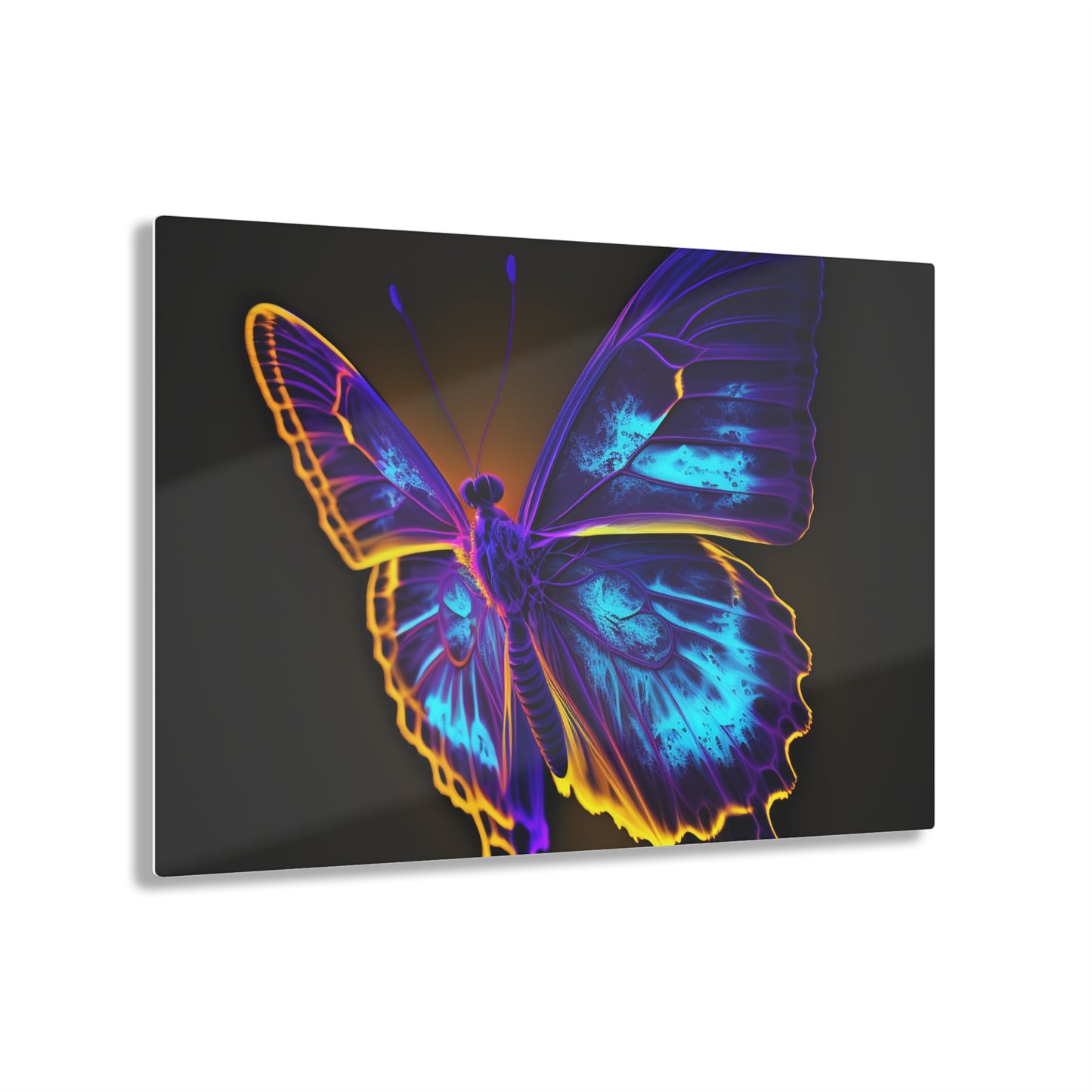 Acrylic Prints Thermal Butterfly 4