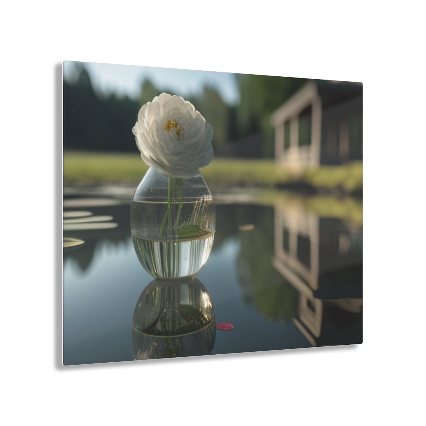 Acrylic Prints White Peony glass vase 1