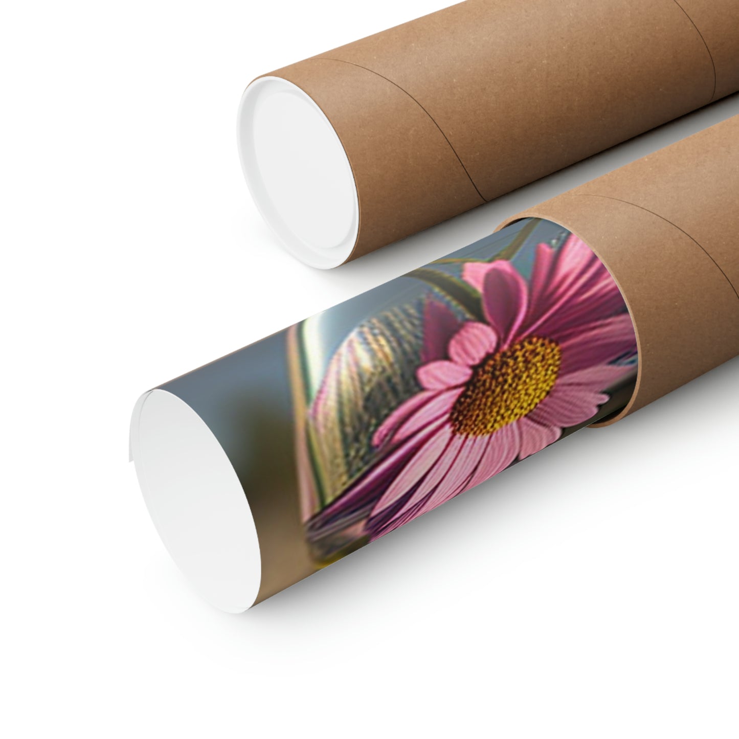 Premium Matte Vertical Posters Pink Daisy 3