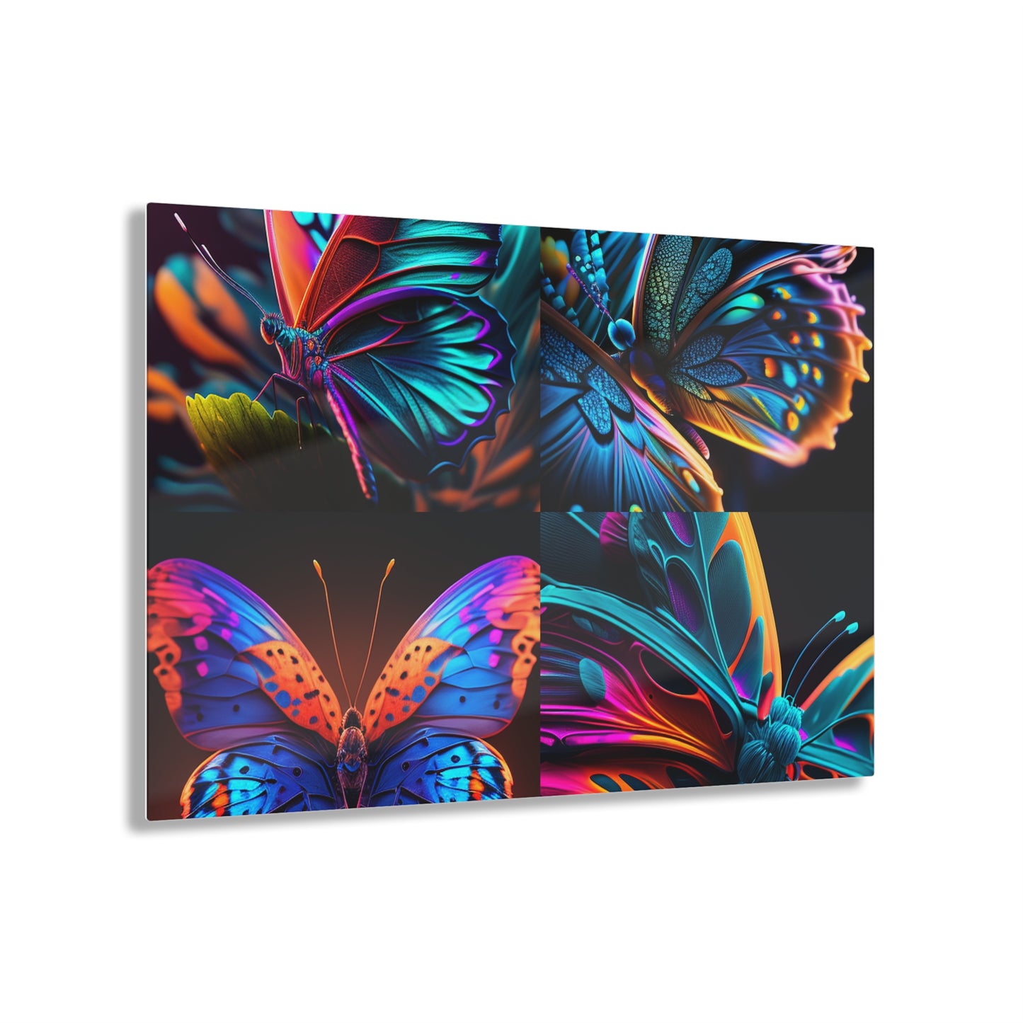 Acrylic Prints Neon Butterfly Macro 5