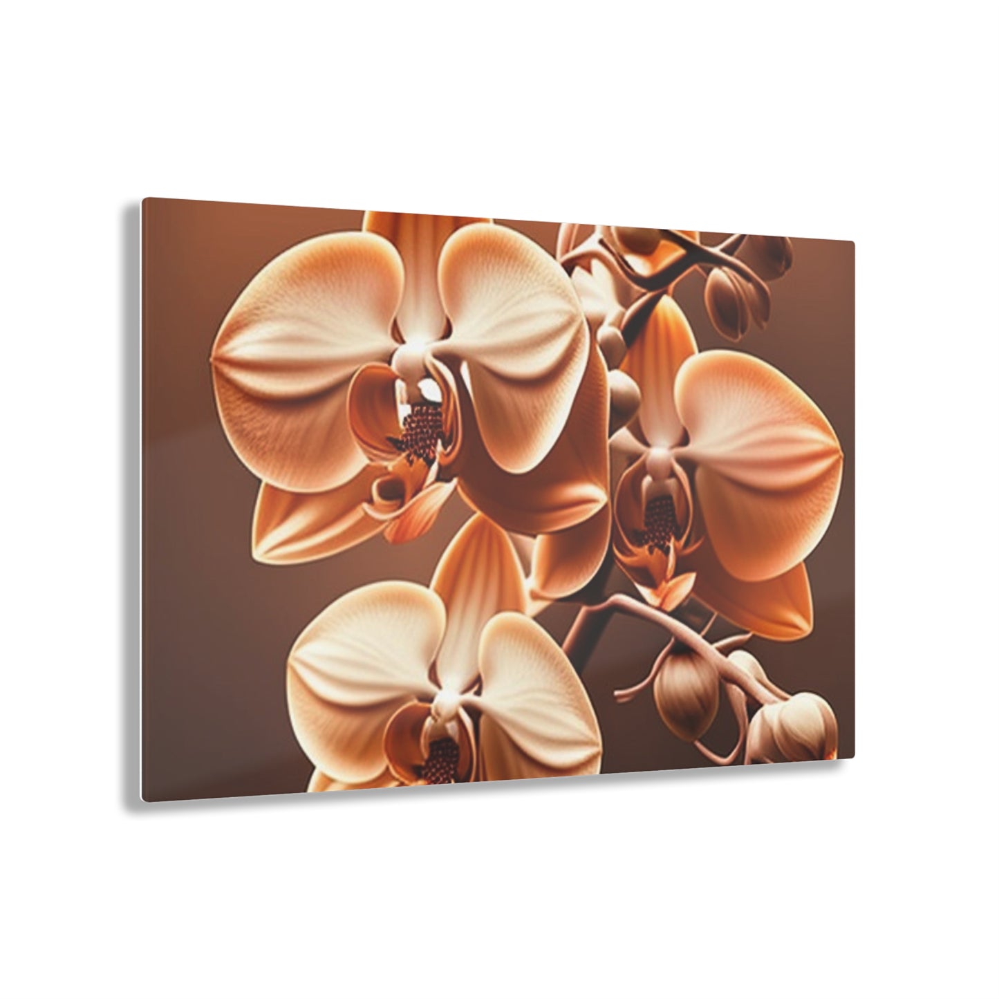 Acrylic Prints orchid pedals 3