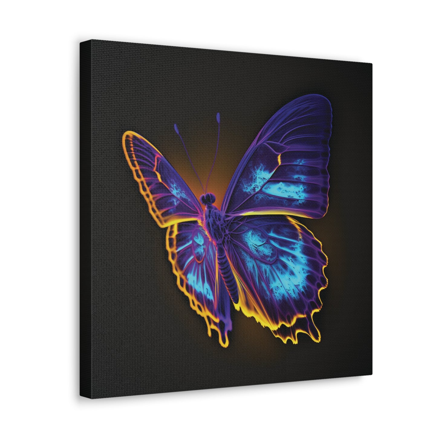 Canvas Gallery Wraps Thermal Butterfly 4