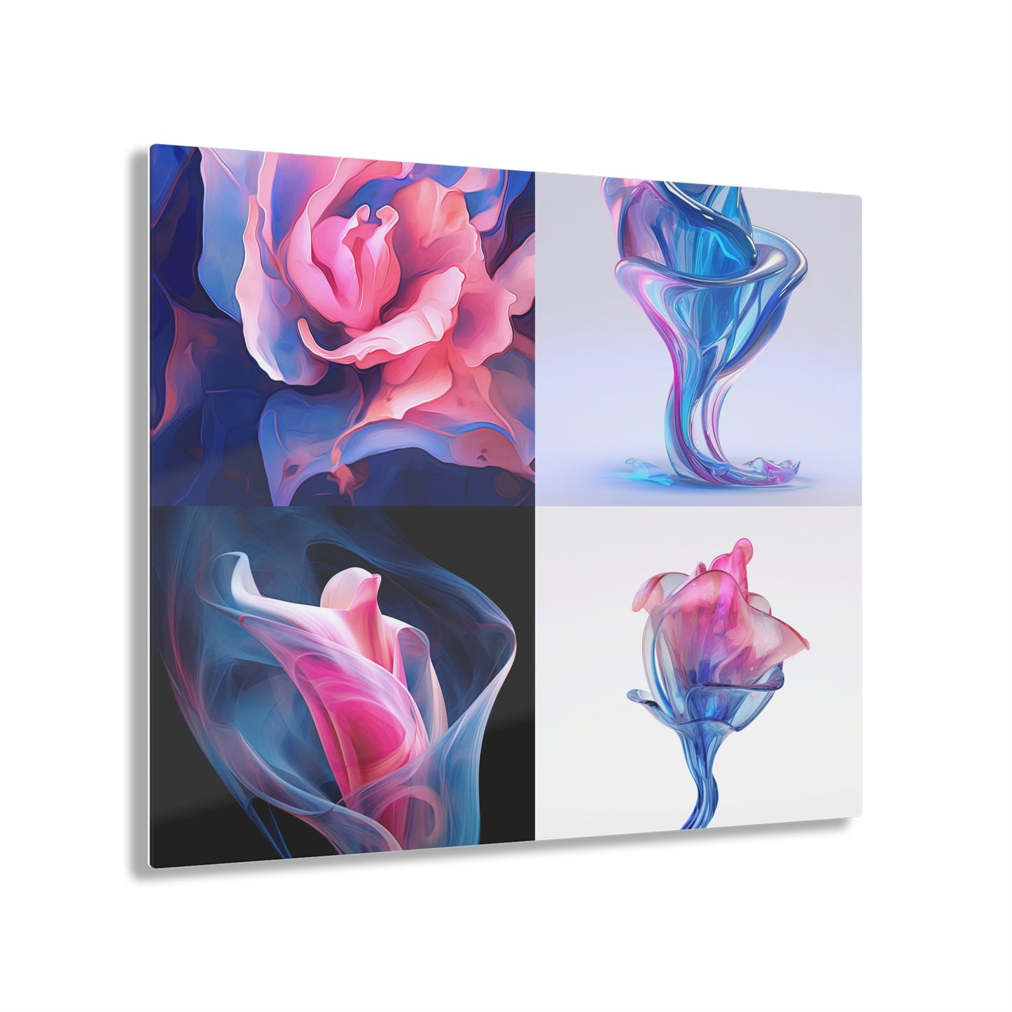 Acrylic Prints Pink & Blue Tulip Rose 5