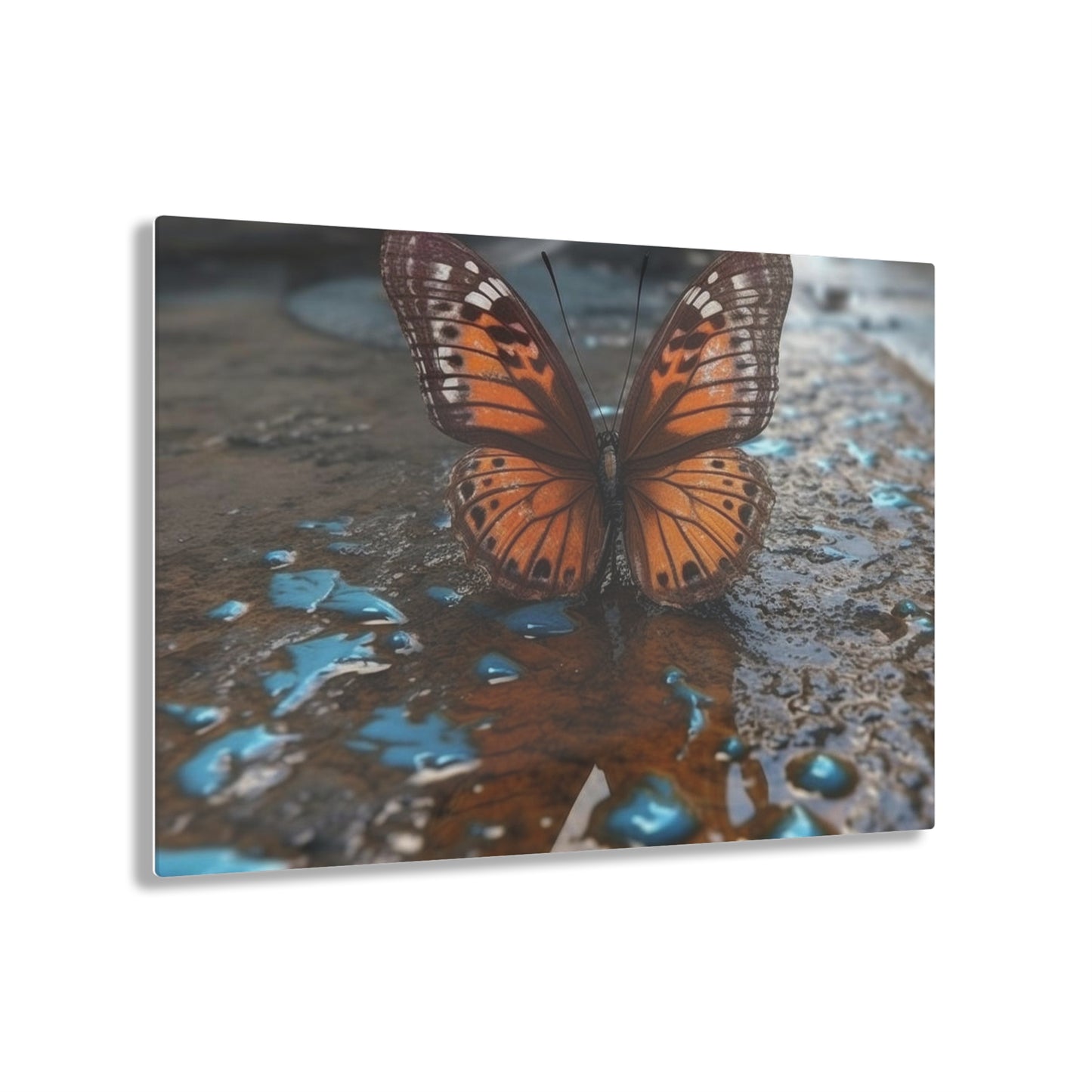 Acrylic Prints Water Butterfly Street 2