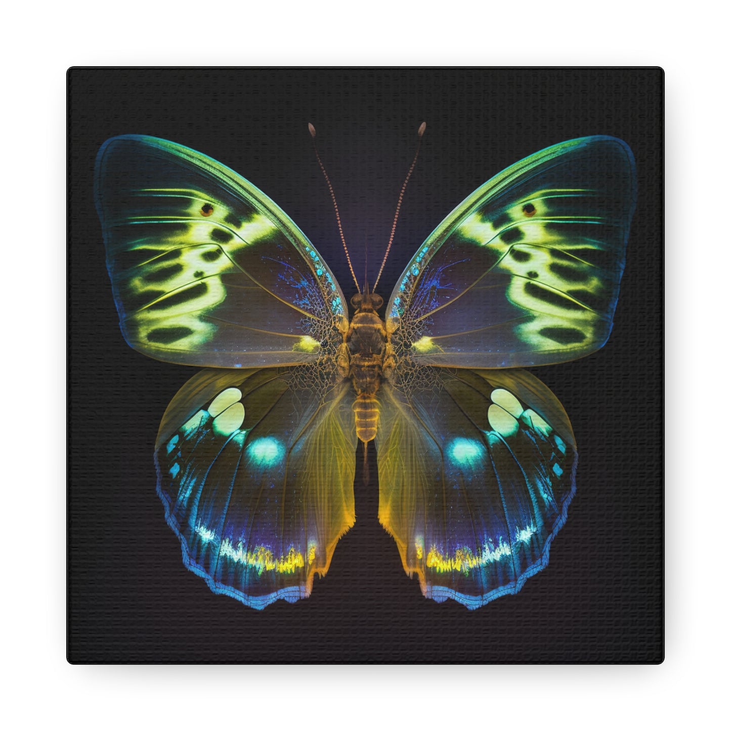 Canvas Gallery Wraps Neon Hue Butterfly 1