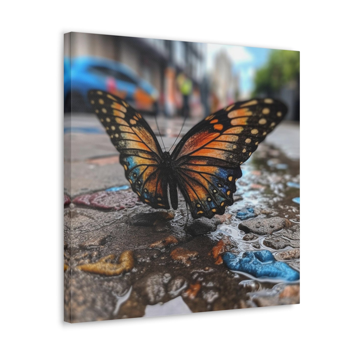 Canvas Gallery Wraps Water Butterfly Street 4