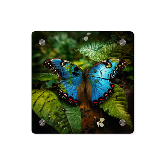 Acrylic Wall Art Panels Jungle Butterfly 2