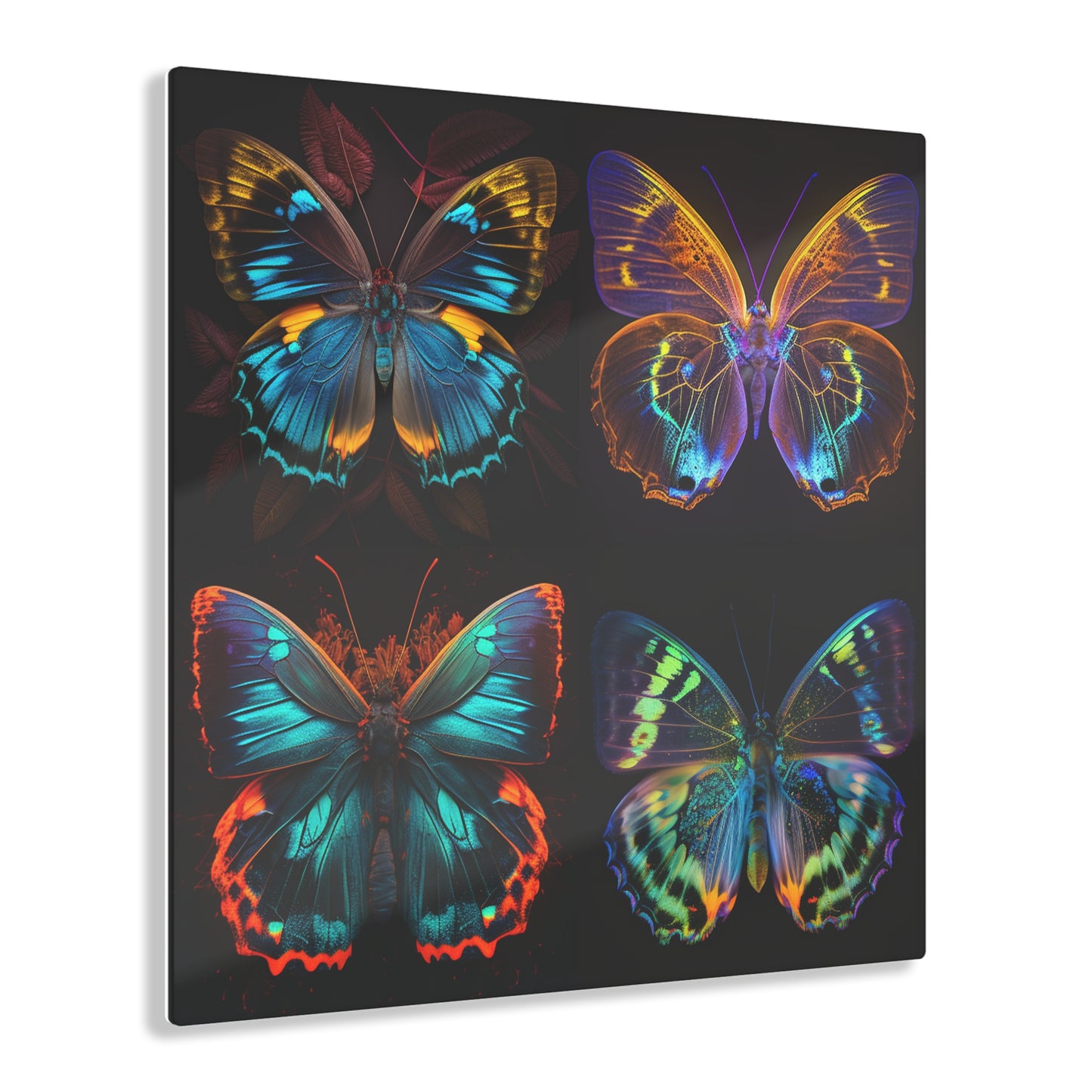 Acrylic Prints Neon Butterfly Flair 5