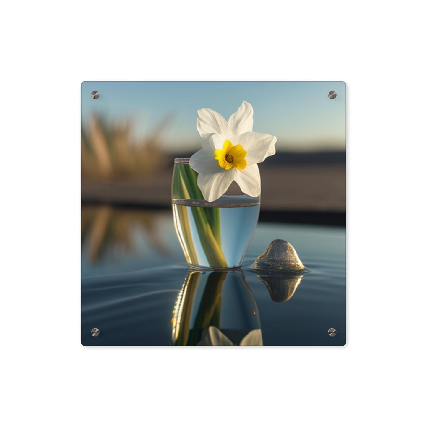 Acrylic Wall Art Panels Daffodil 4