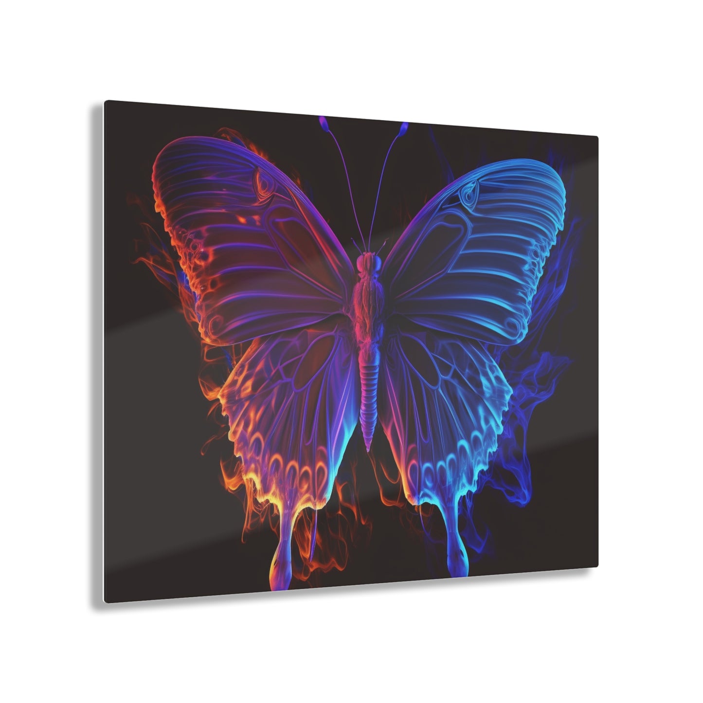 Acrylic Prints Thermal Butterfly 1