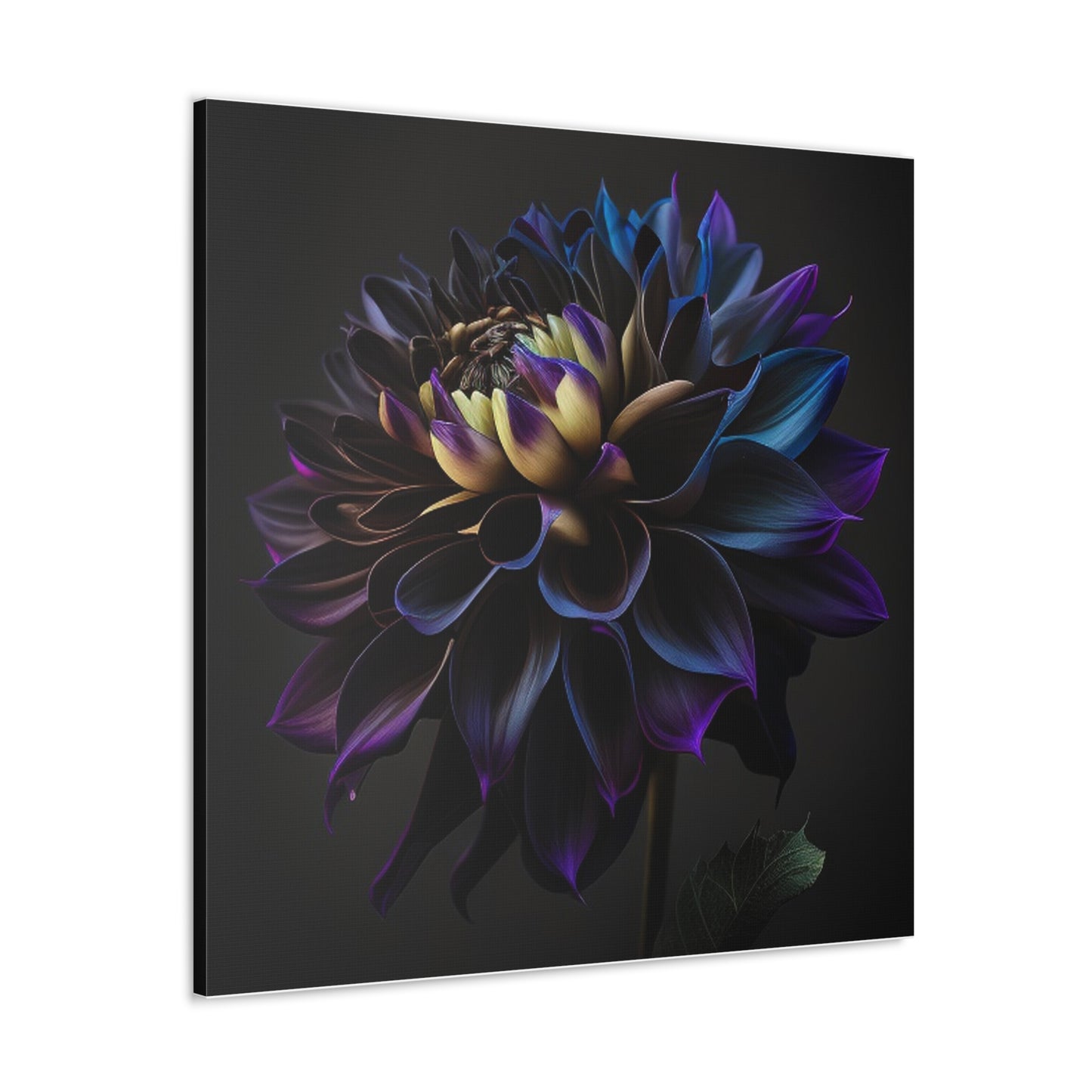 Canvas Gallery Wraps Dahlia Purple 1