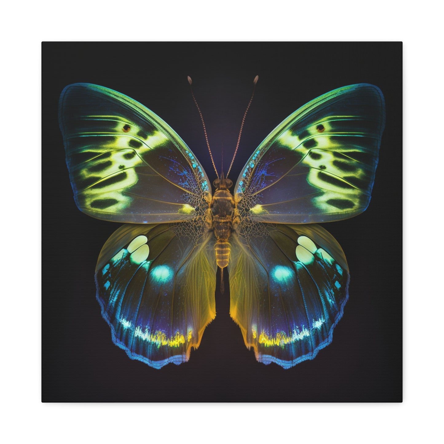 Canvas Gallery Wraps Neon Hue Butterfly 1