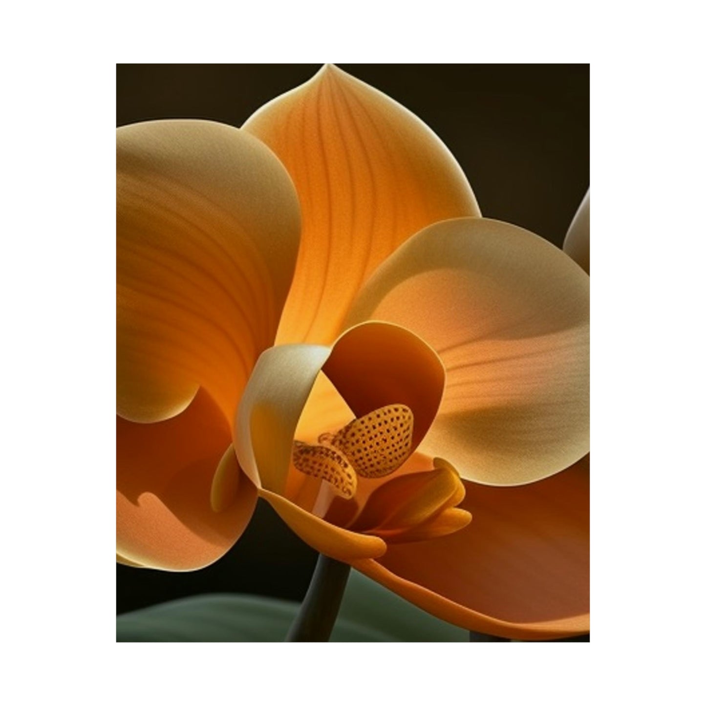 Premium Matte Vertical Posters Orange Orchid 4