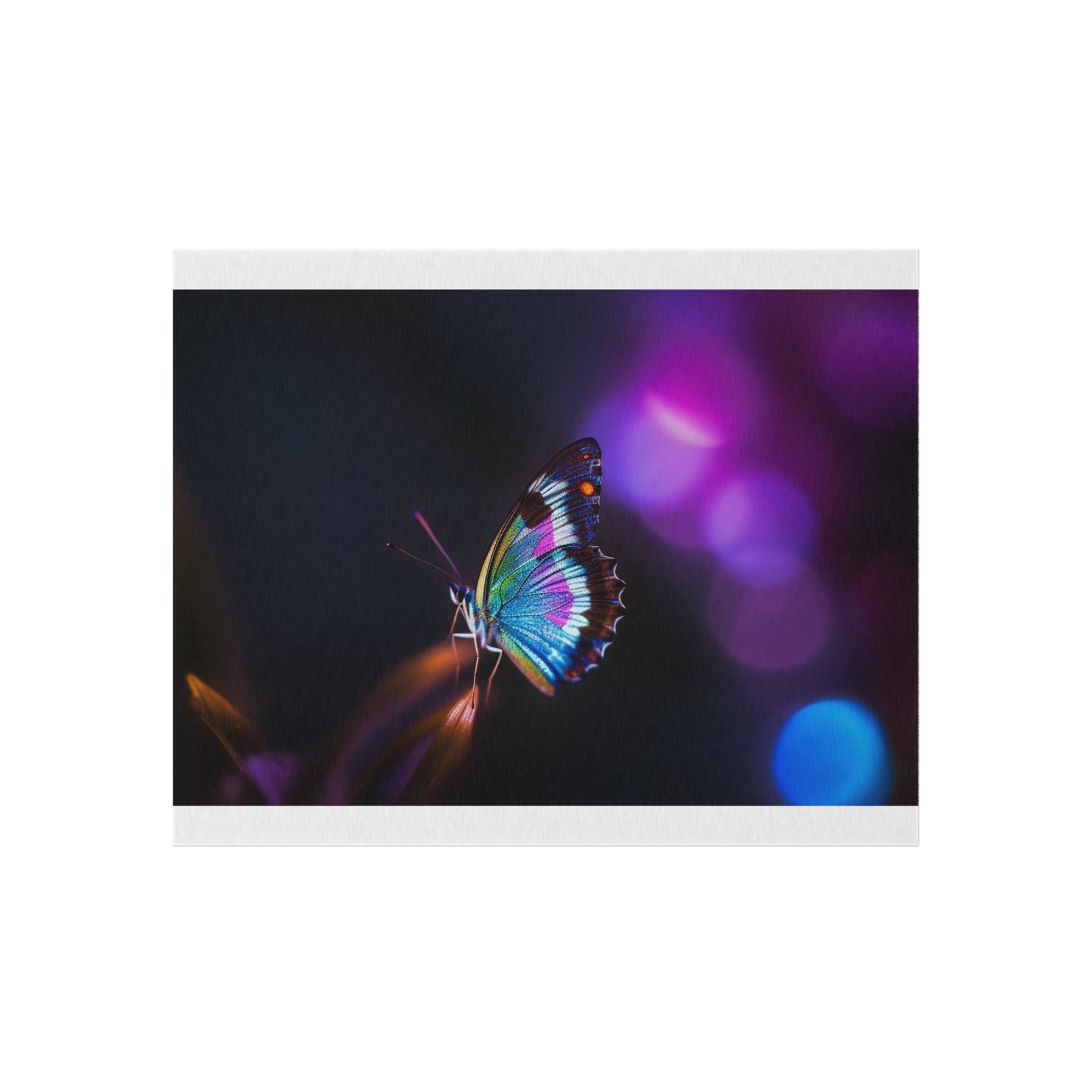 Outdoor Rug  Photo Realistic Butterfly 1