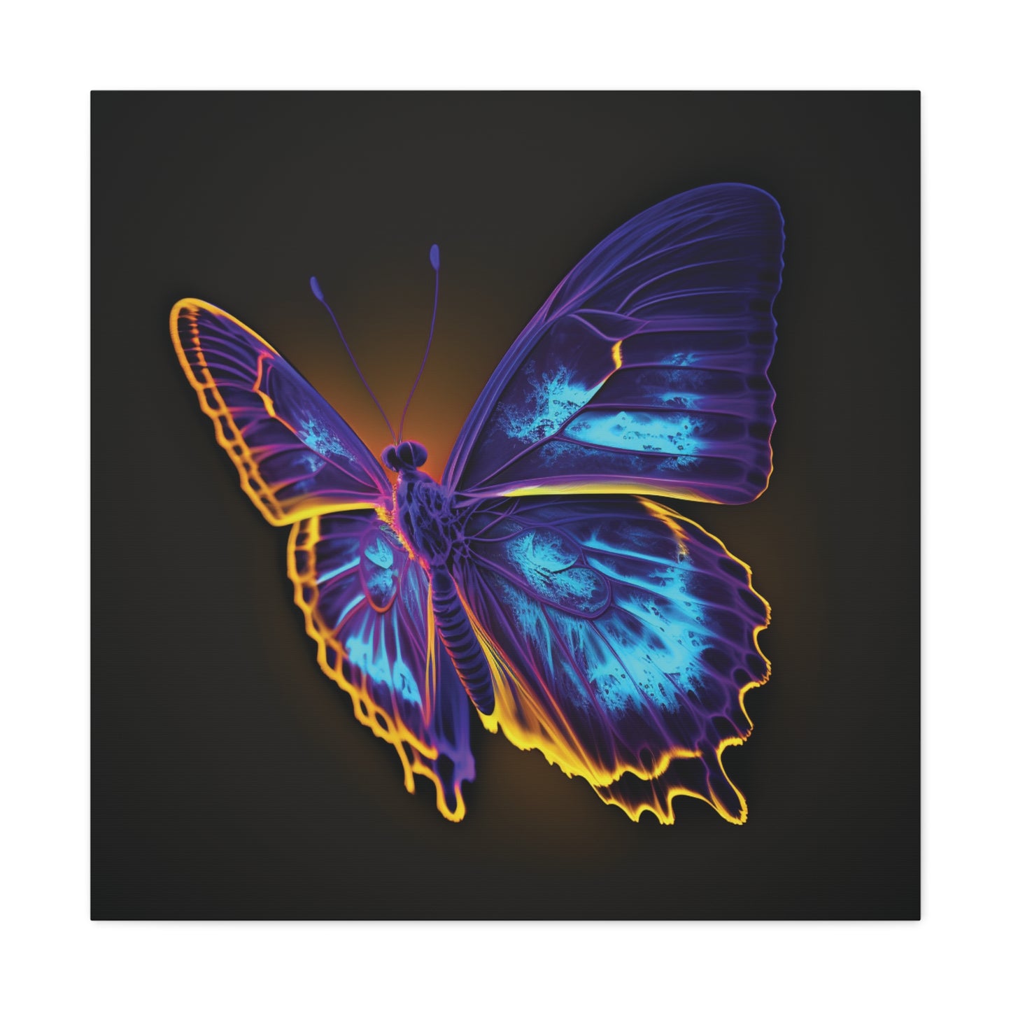 Canvas Gallery Wraps Thermal Butterfly 4