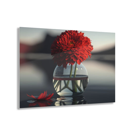 Acrylic Prints Chrysanthemum 2