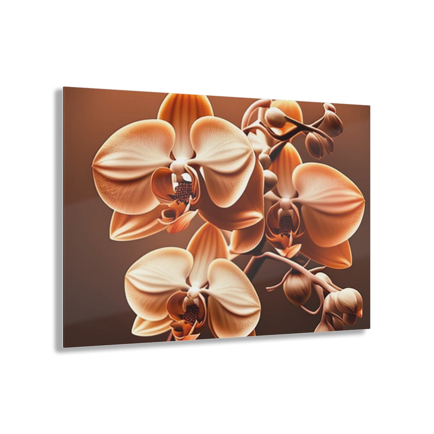 Acrylic Prints orchid pedals 3