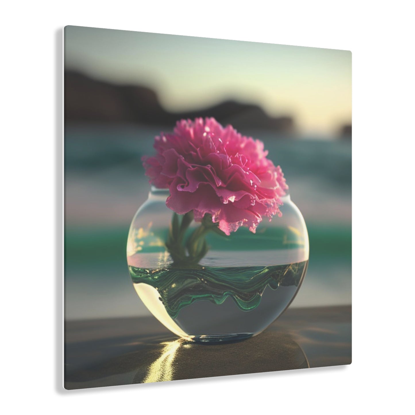 Acrylic Prints Carnation 3