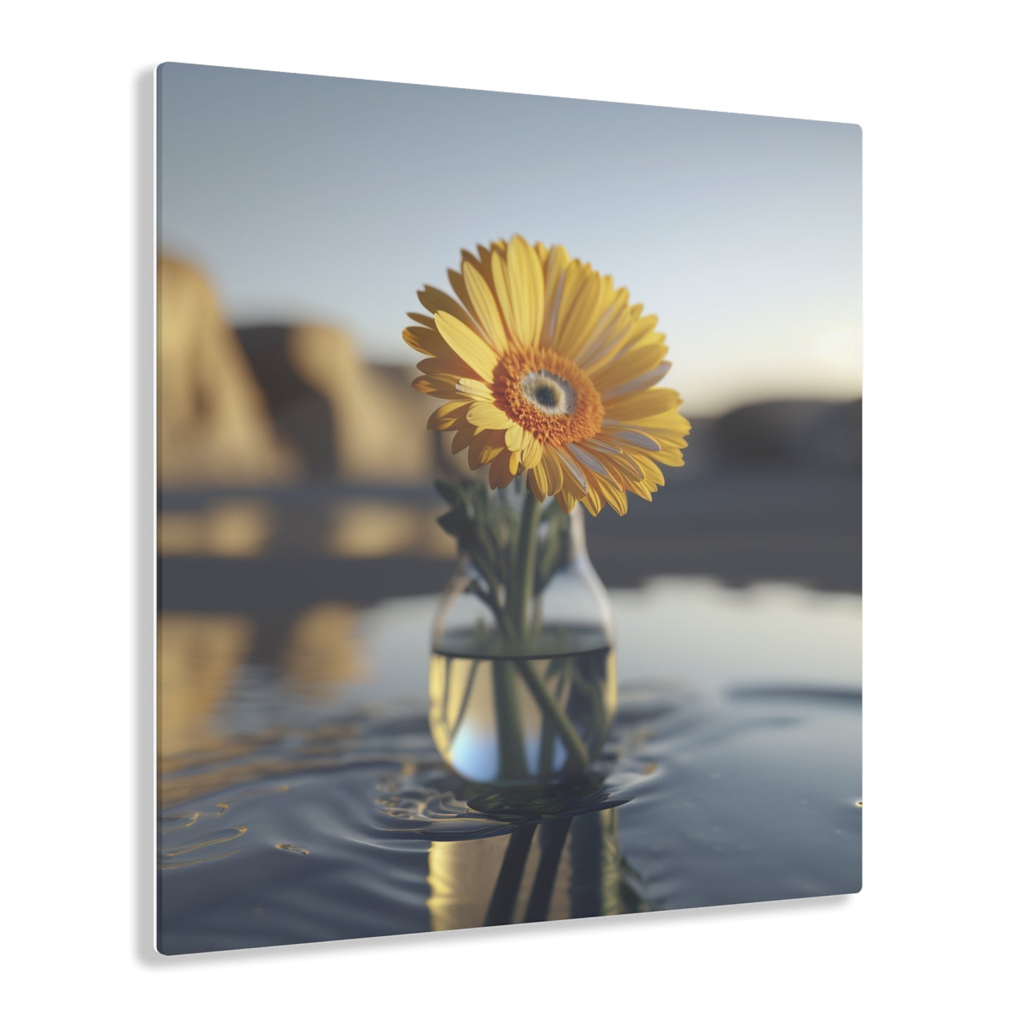 Acrylic Prints yello Gerbera glass 4