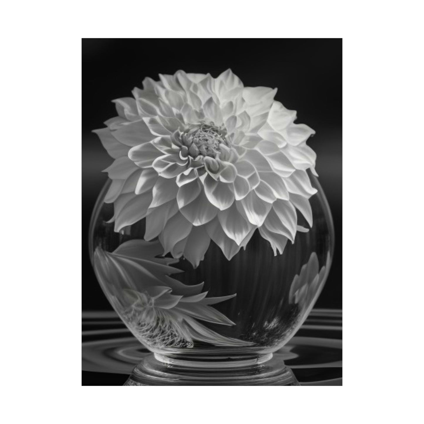 Premium Matte Vertical Posters White Dahlia 1