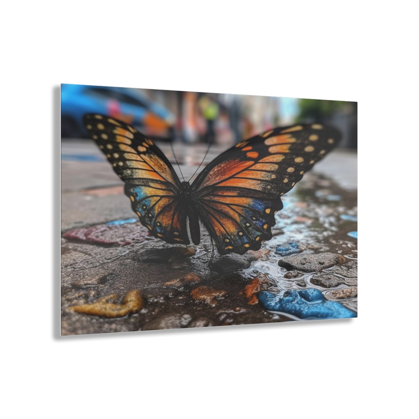 Acrylic Prints Water Butterfly Street 4