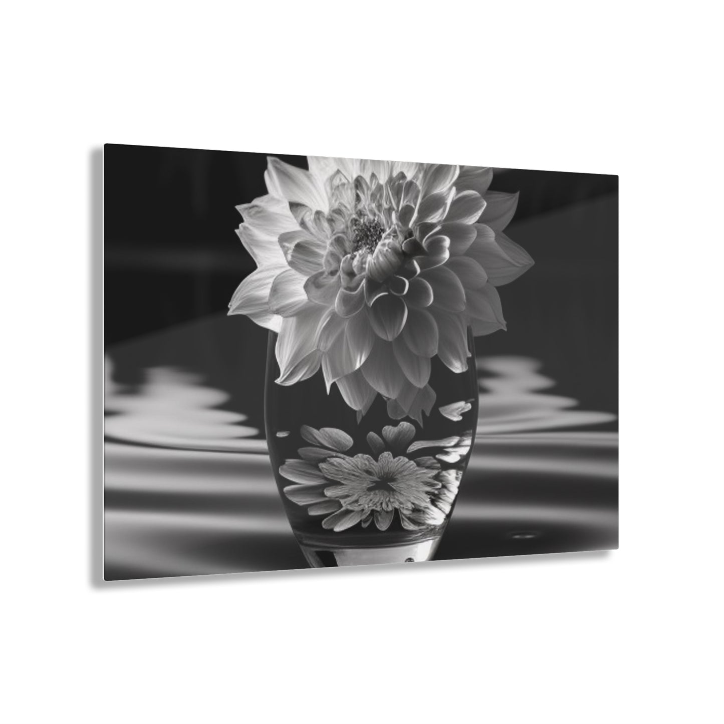 Acrylic Prints White Dahlia 4