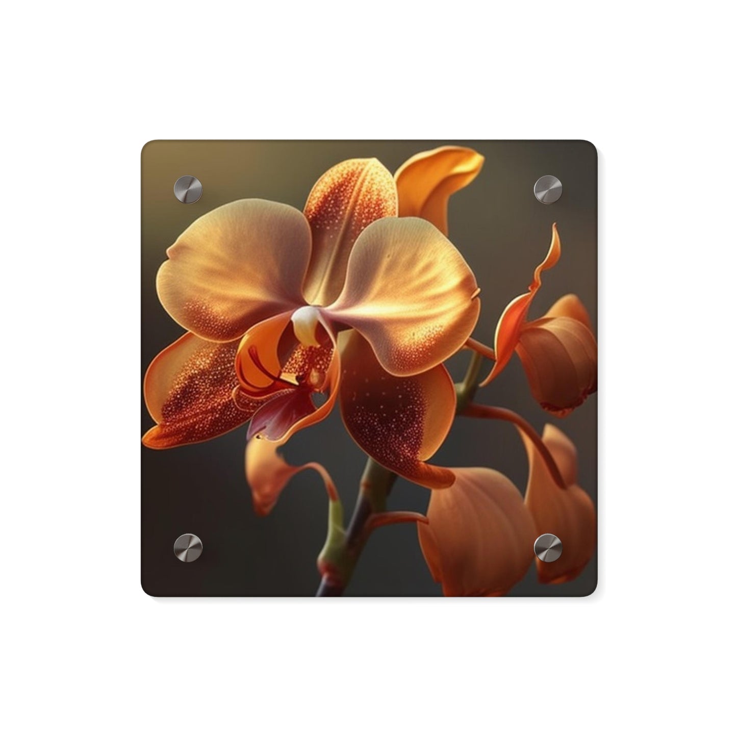 Acrylic Wall Art Panels Orange Orchid 1