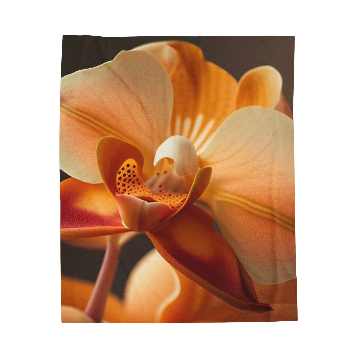 Velveteen Plush Blanket Orange Orchid 3